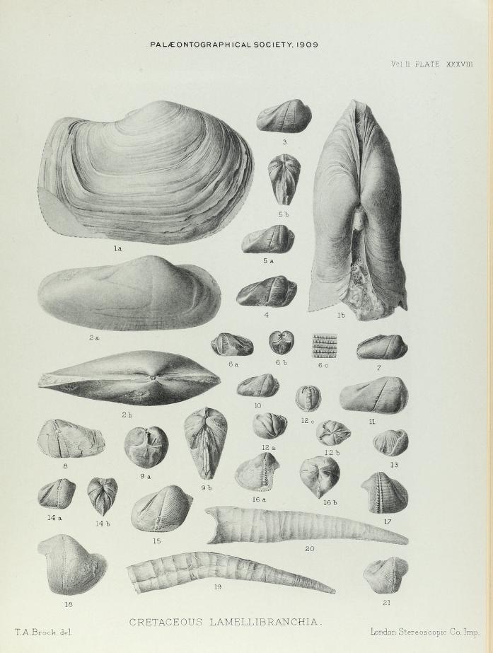 Cretaceous