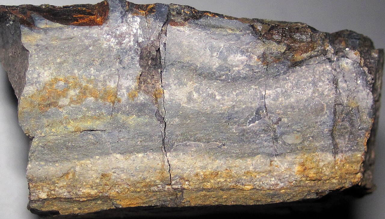 Cretaceous–Paleogene extinction event