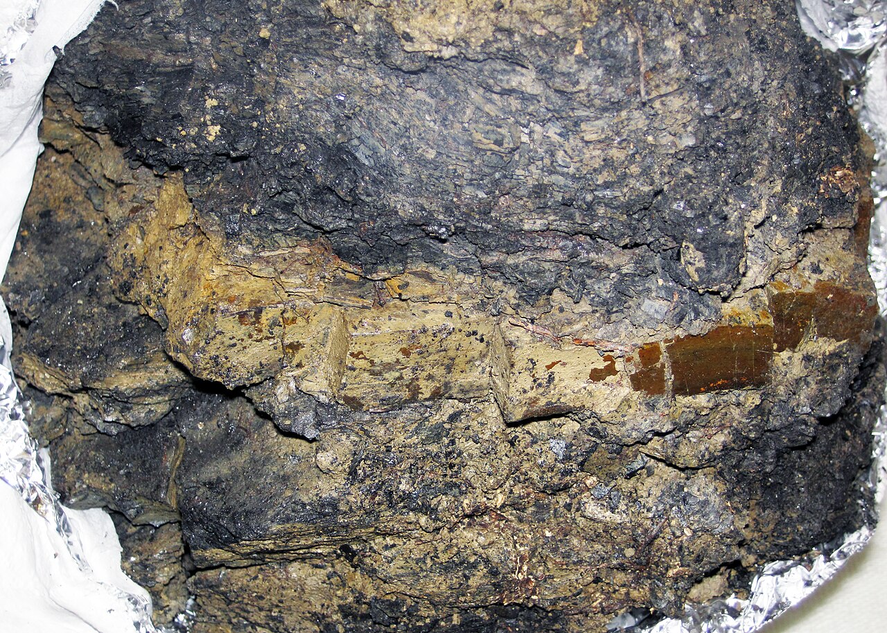 Cretaceous–Paleogene extinction event