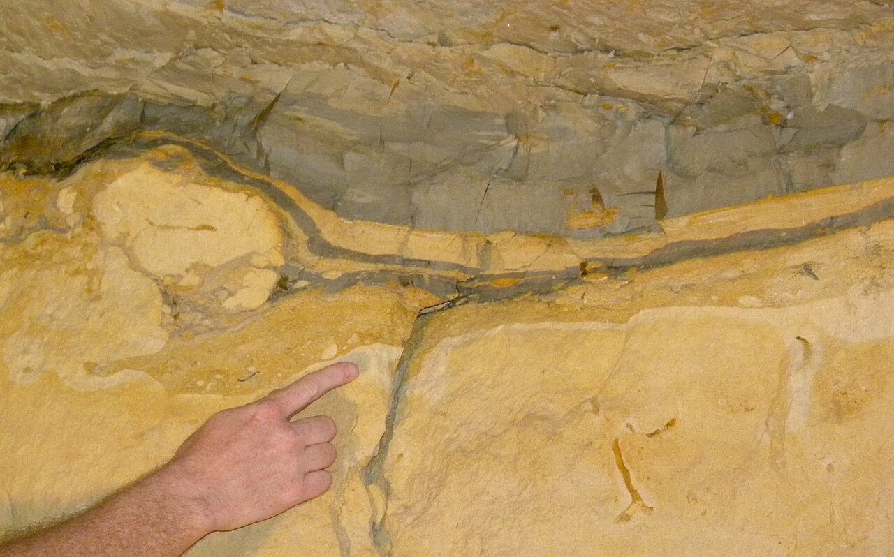 Cretaceous–Paleogene extinction event